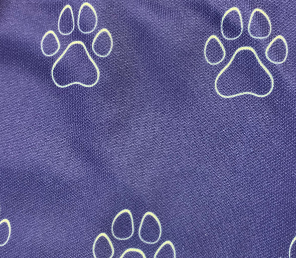 Puppy Jersey Game-Used Socks - April 7, 2018