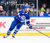 #96 Chris Harpur Blue Jersey - 2024-25