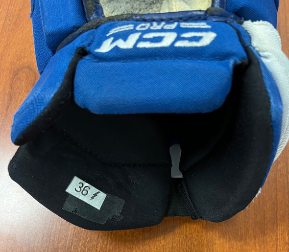 #36 Félix Robert Game-Worn Gloves - 2022-23