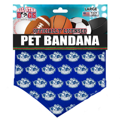 Pet Bandana