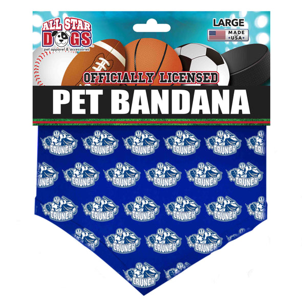 Pet Bandana