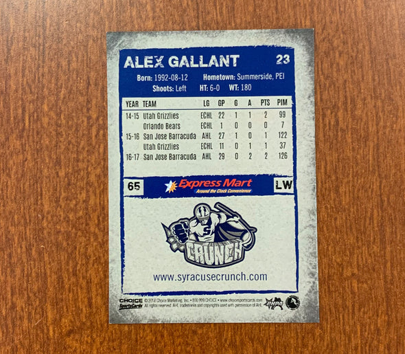 #65 Alex Gallant 10-Card Trading Card Lot - 2017-18