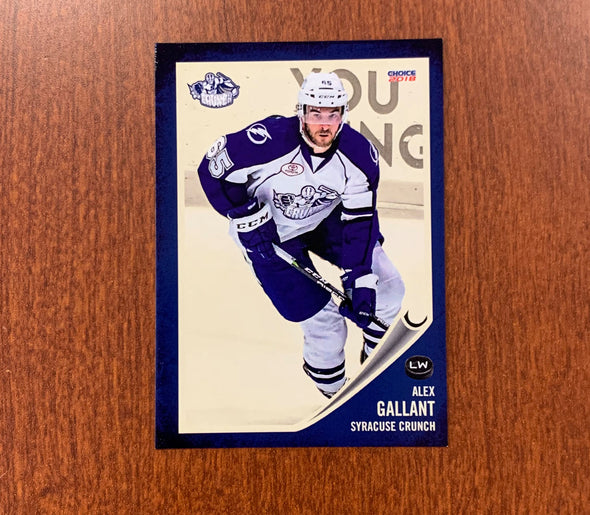#65 Alex Gallant 10-Card Trading Card Lot - 2017-18