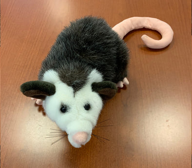 Front Office Mascot - Opossum